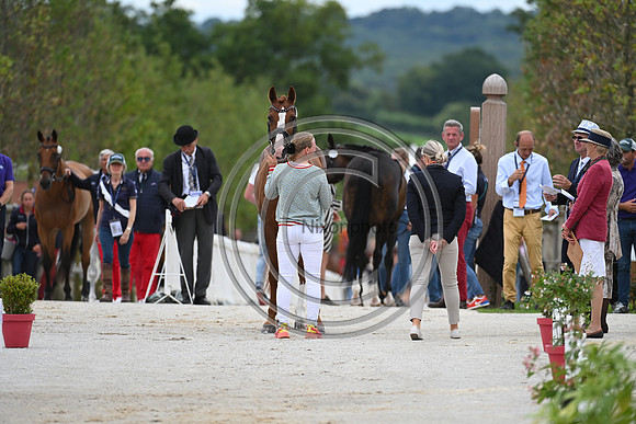 FEI Eventing European Championship