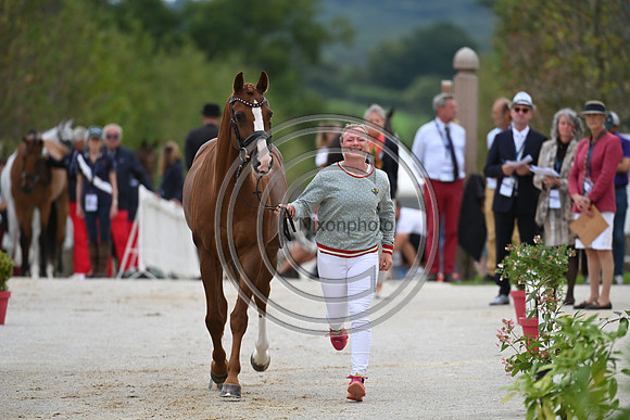 FEI Eventing European Championship