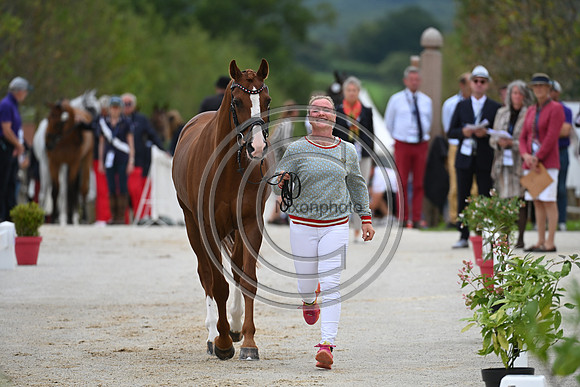 FEI Eventing European Championship
