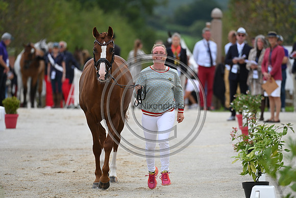 FEI Eventing European Championship