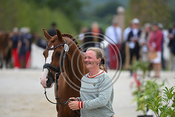 FEI Eventing European Championship