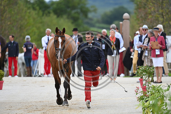 FEI Eventing European Championship