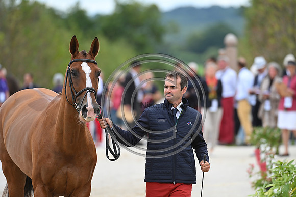 FEI Eventing European Championship