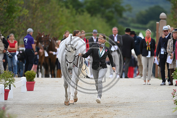 FEI Eventing European Championship
