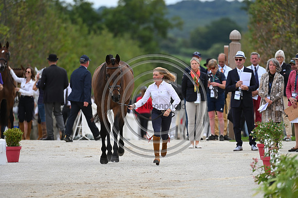 FEI Eventing European Championship
