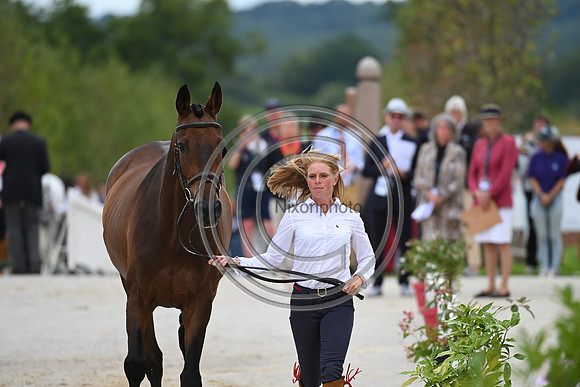 FEI Eventing European Championship