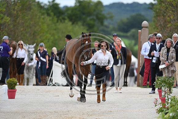 FEI Eventing European Championship