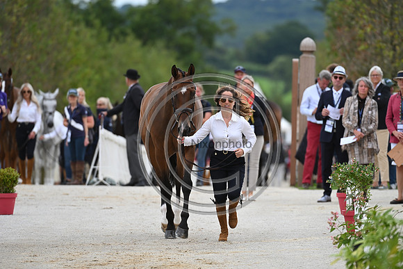 FEI Eventing European Championship