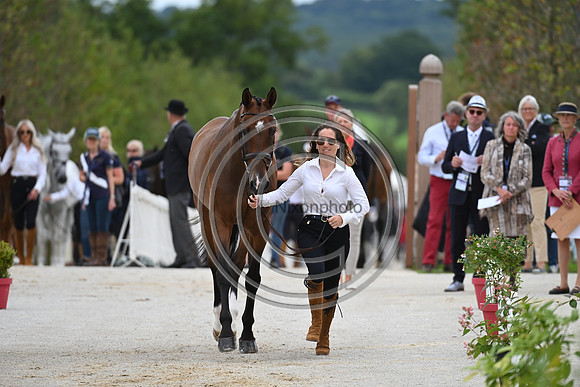 FEI Eventing European Championship