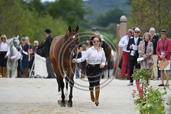 FEI Eventing European Championship