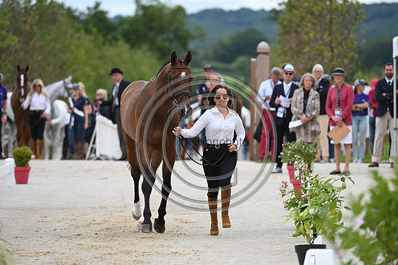 FEI Eventing European Championship