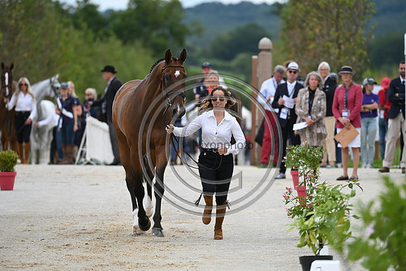 FEI Eventing European Championship