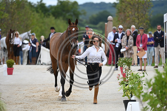 FEI Eventing European Championship
