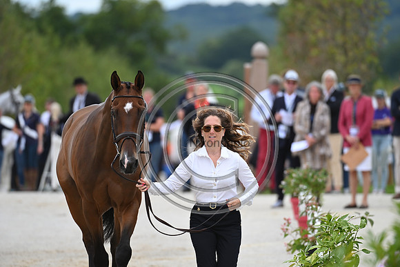 FEI Eventing European Championship