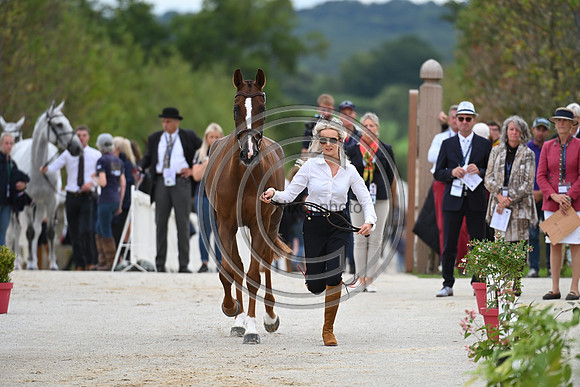 FEI Eventing European Championship
