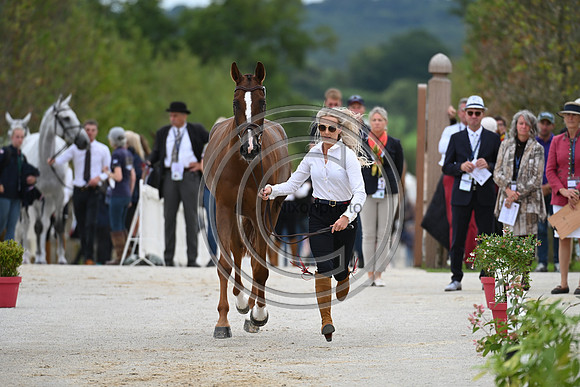 FEI Eventing European Championship