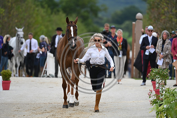 FEI Eventing European Championship