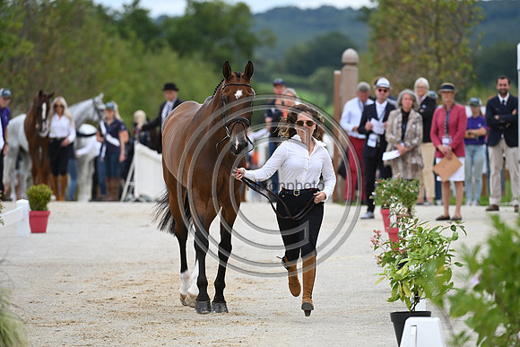 FEI Eventing European Championship