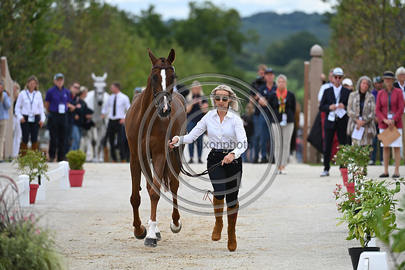 FEI Eventing European Championship