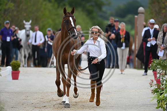 FEI Eventing European Championship