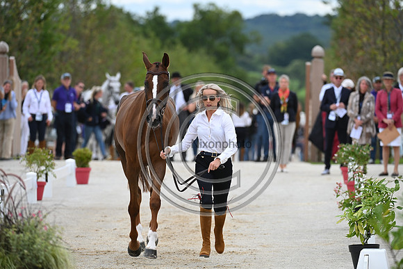 FEI Eventing European Championship