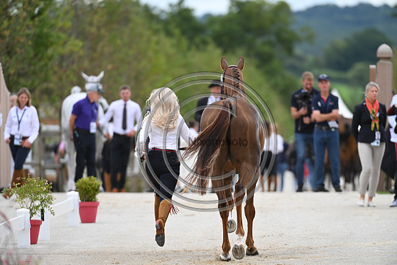 FEI Eventing European Championship