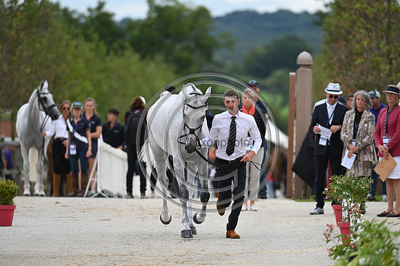 FEI Eventing European Championship