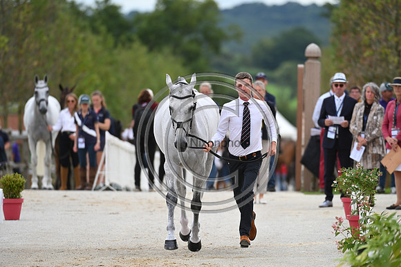 FEI Eventing European Championship
