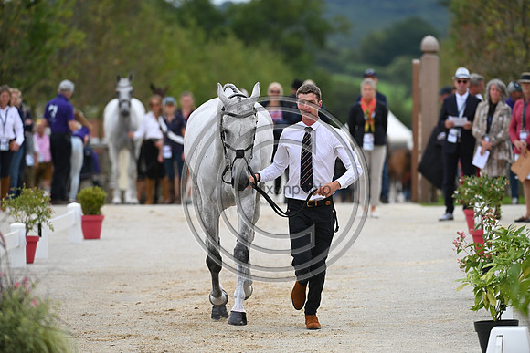 FEI Eventing European Championship