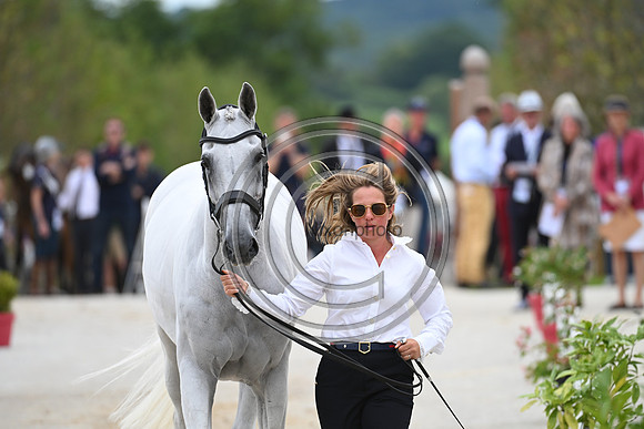 FEI Eventing European Championship