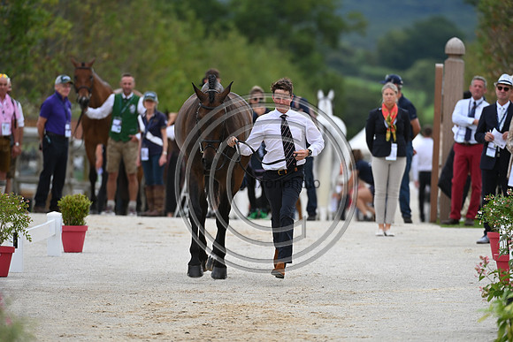 FEI Eventing European Championship
