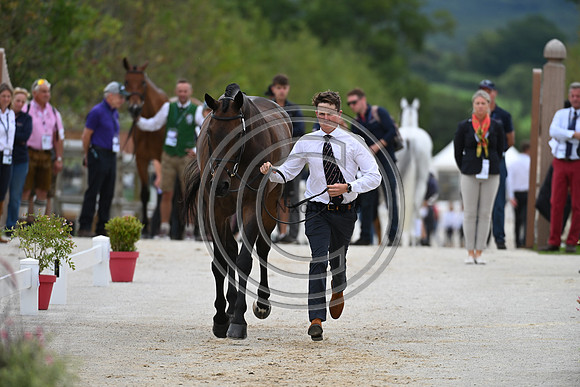 FEI Eventing European Championship