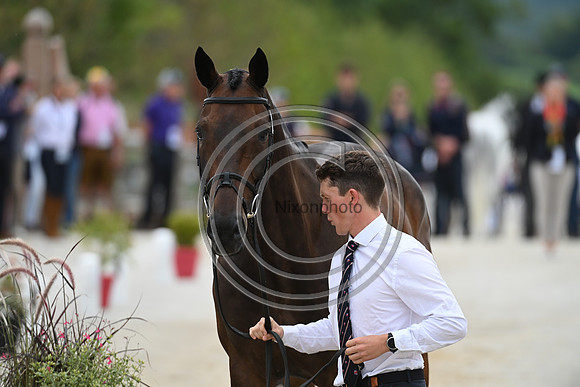 FEI Eventing European Championship