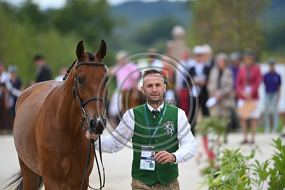 FEI Eventing European Championship