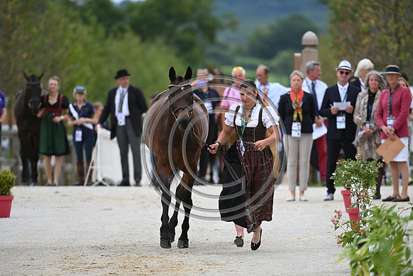FEI Eventing European Championship