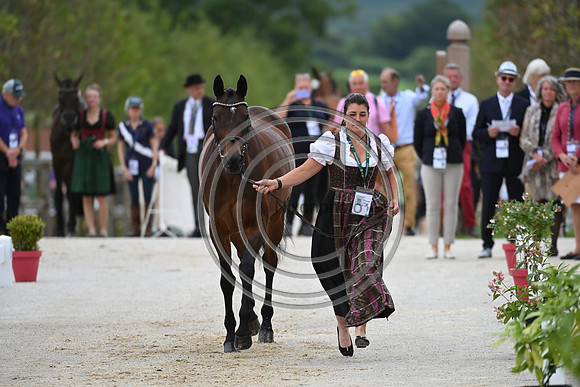 FEI Eventing European Championship