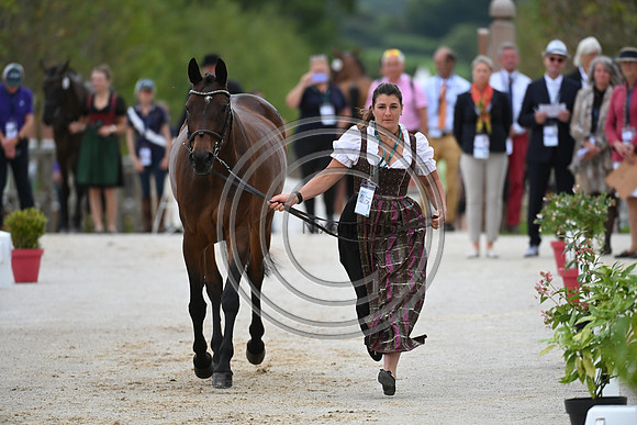 FEI Eventing European Championship