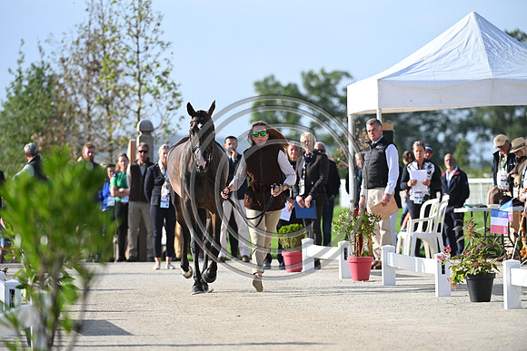 FEI Eventing European Championship