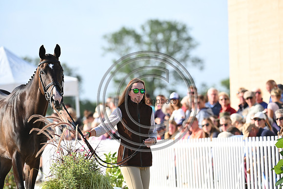 FEI Eventing European Championship