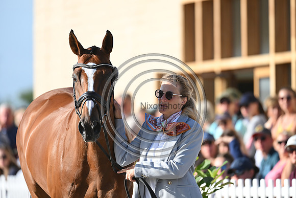 FEI Eventing European Championship