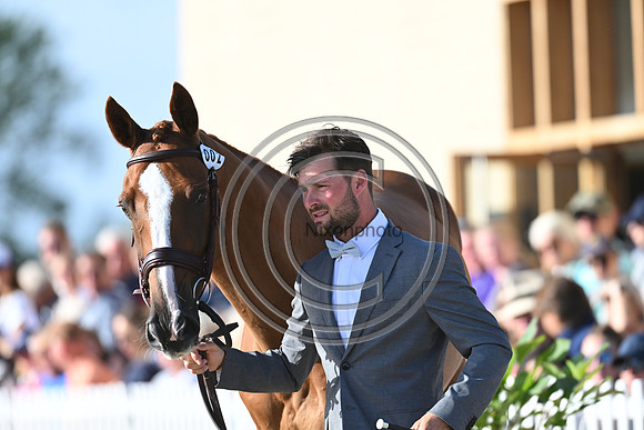 FEI Eventing European Championship