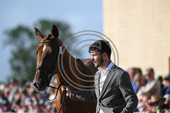 FEI Eventing European Championship