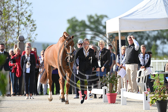 FEI Eventing European Championship