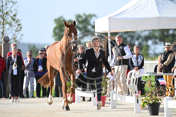 FEI Eventing European Championship