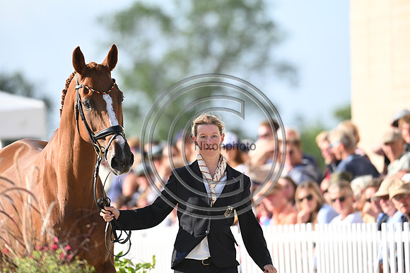 FEI Eventing European Championship