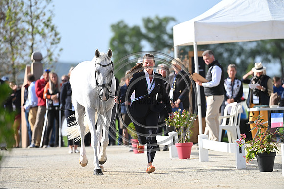 FEI Eventing European Championship