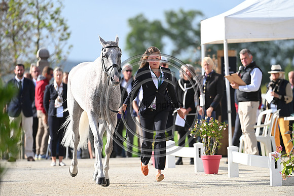 FEI Eventing European Championship