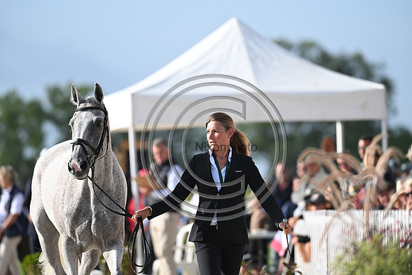 FEI Eventing European Championship