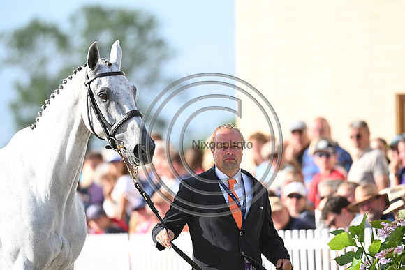 FEI Eventing European Championship