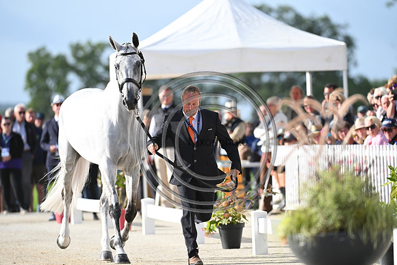 FEI Eventing European Championship
